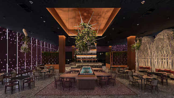 Zemi Miches All-Inclusive Resort, Curio Collection by Hilton